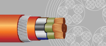 The cable guide